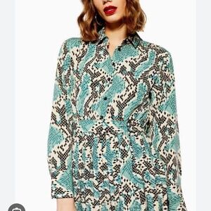 Topshop snake print dress